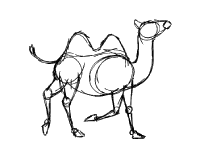 Camel gif no background